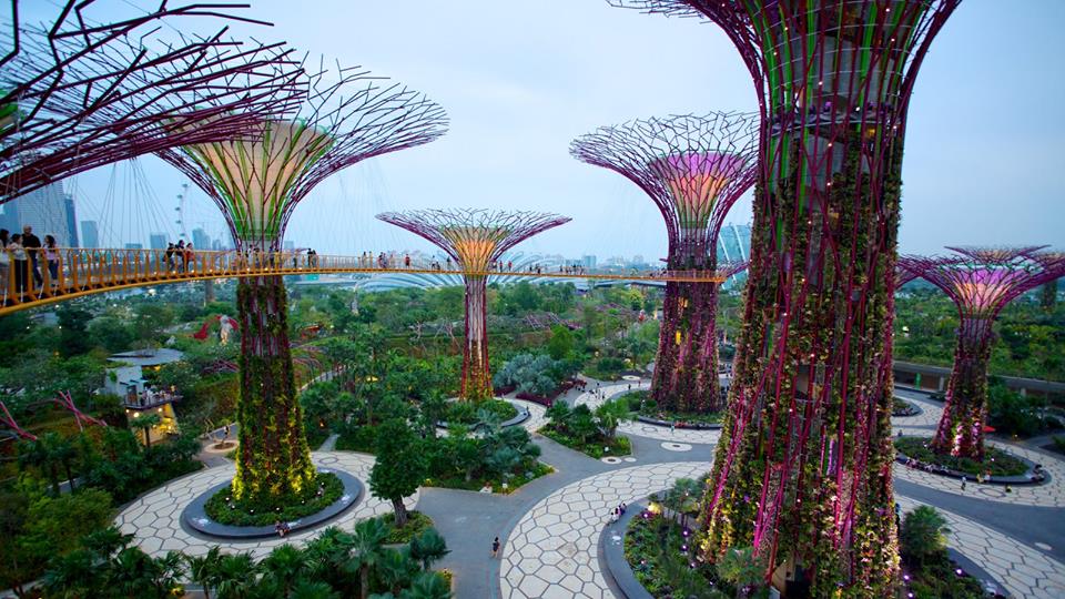 Знаете ли вы, что самый зеленый город мира — Сингапур, а самый серый — Париж?